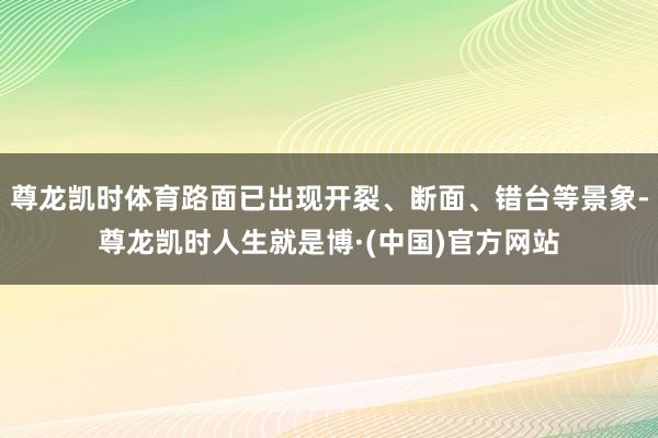 尊龙凯时体育路面已出现开裂、断面、错台等景象-尊龙凯时人生就是博·(中国)官方网站