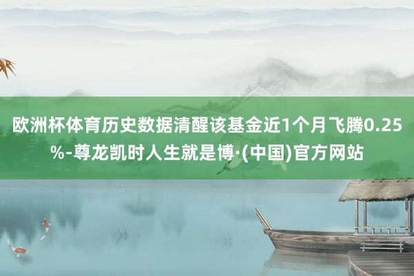 欧洲杯体育历史数据清醒该基金近1个月飞腾0.25%-尊龙凯时人生就是博·(中国)官方网站