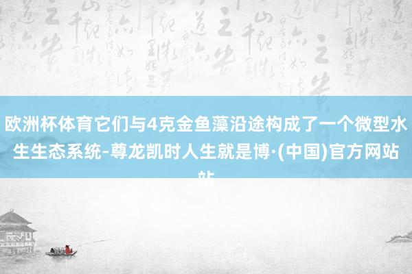 欧洲杯体育它们与4克金鱼藻沿途构成了一个微型水生生态系统-尊龙凯时人生就是博·(中国)官方网站