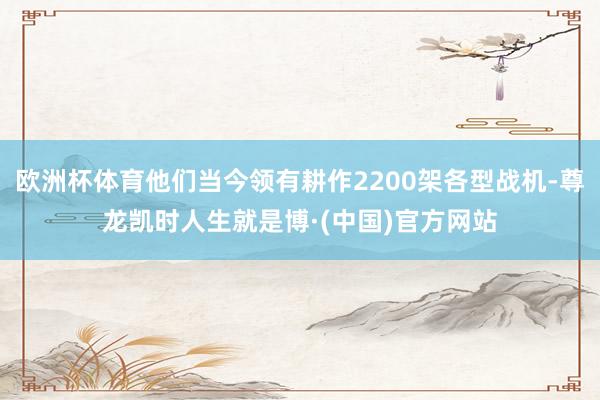 欧洲杯体育他们当今领有耕作2200架各型战机-尊龙凯时人生就是博·(中国)官方网站